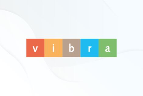 Vibra E.V. Logo